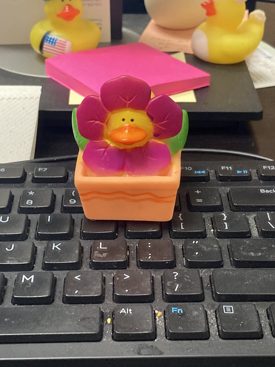 Lindsey Clark tweet media