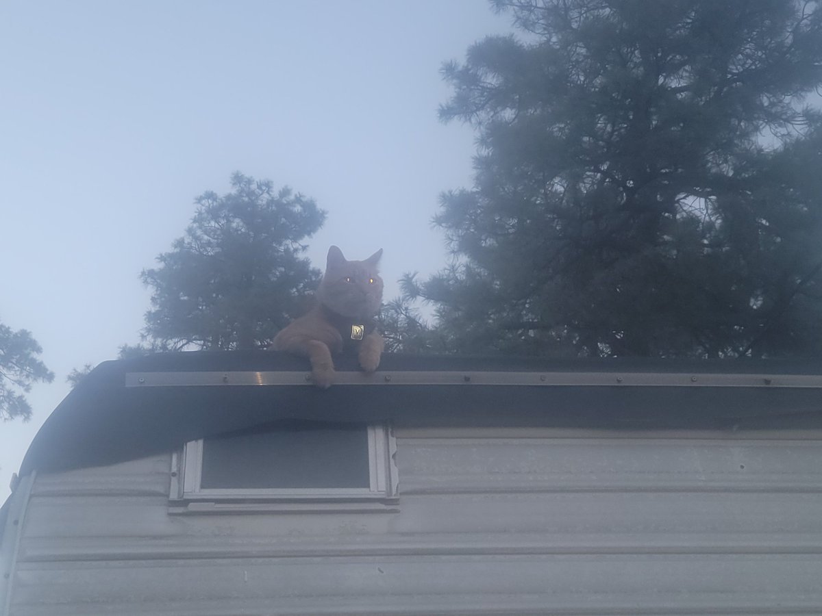 SimplyVampires's tweet image. It's getting dark.  What does this say about Chai?