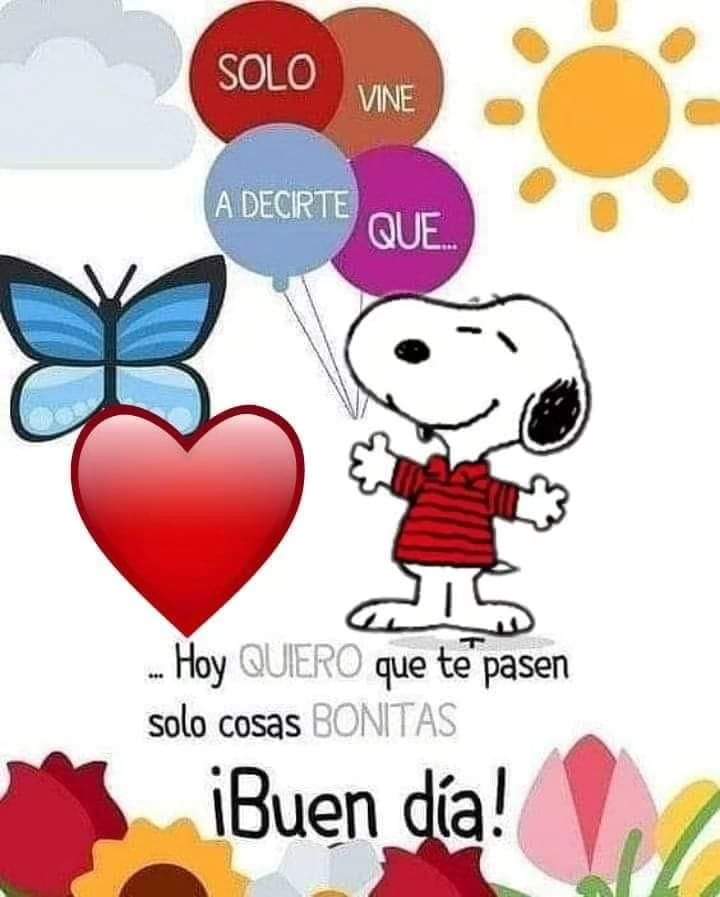 Flor Gaucín (@florgaucin76) on Twitter photo 