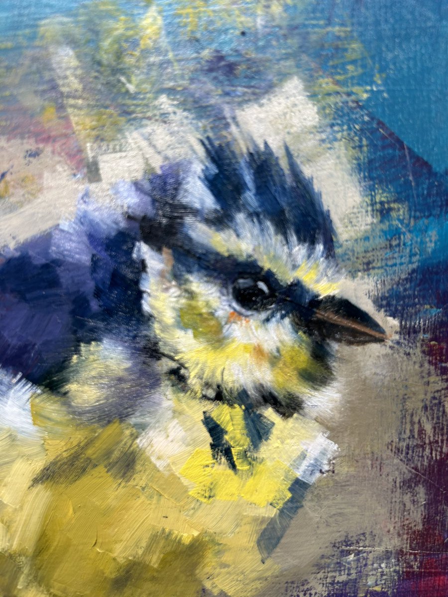 Made some alterations to Emilio’s face. 
Tomorrow he’ll have a body to match. 
#birds #birdart #artist