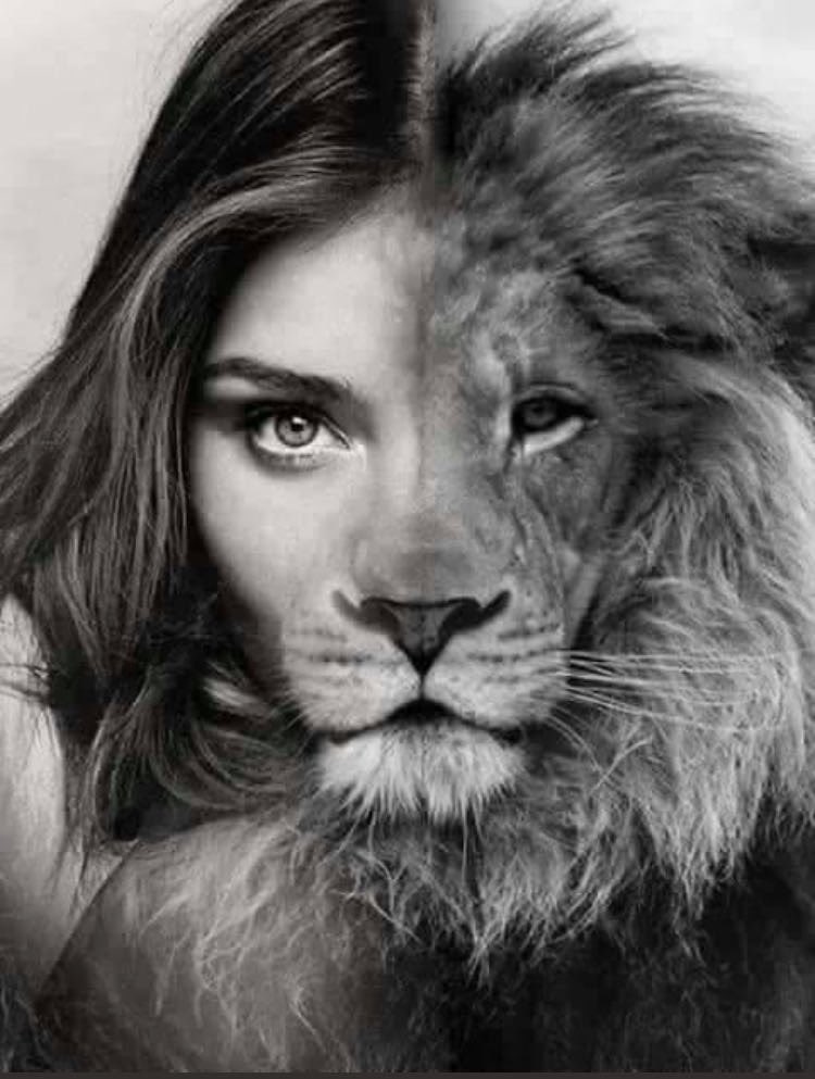 والله دائماً متصدرين كل الأبراج 😌 #الاسد
هكذا نحن 👇