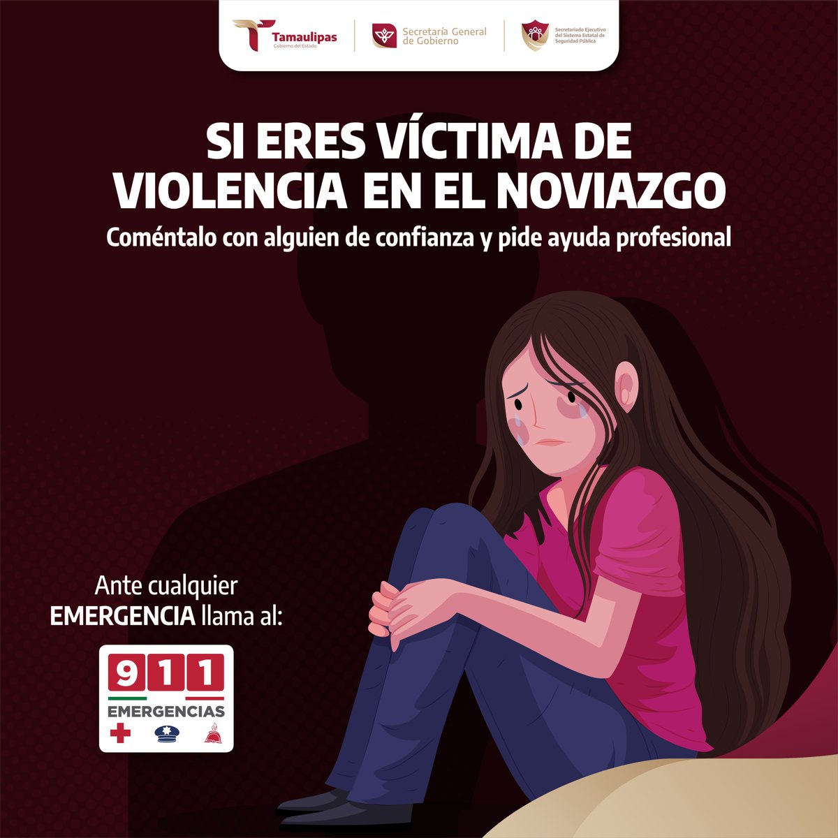 Tu seguridad es lo primero.

Si sufres violencia en tu relación, #ConfíaEnEl911.