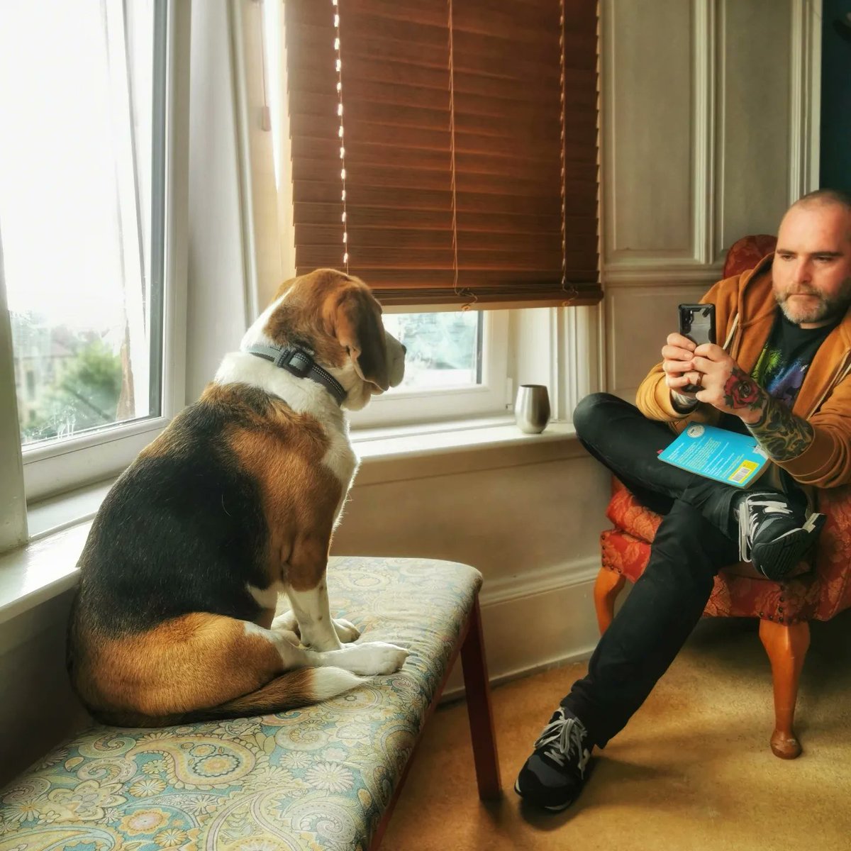 tiggtag's tweet photo. 🐶 "I'm handsome in this light, take my picture"

#beagle #dudeswithdogs #lighting https://t.co/2a8DJ3BZeW