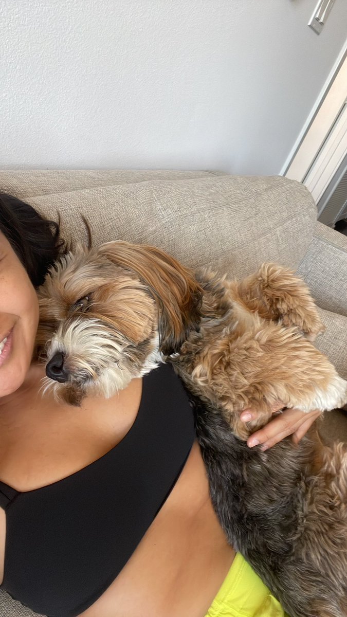 ranaval44's tweet photo. Almost everyone I know is posting first day of school pics for their kid(s).
I’m just sitting here like, here’s my dog! https://t.co/RIMjBCwPjw