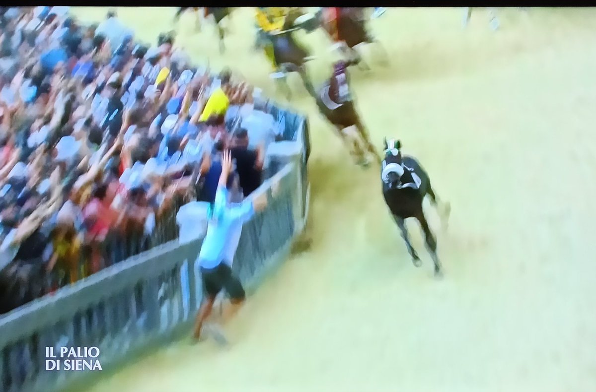 #PaliodiSiena
Vince un cavallo 'scosso'. Deve aver visto la Santanchè.