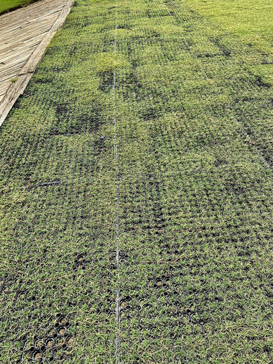 Kevin S. Thompkins tweet media