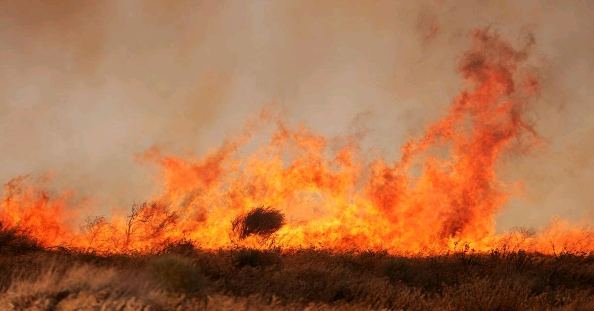 #California deploys #AI to detect wildfires before they start spreading.

They are using over 1000 360 degree cameras and Lidar to search for abnormalities and it already paid off!
 buff.ly/3qqI3RB
