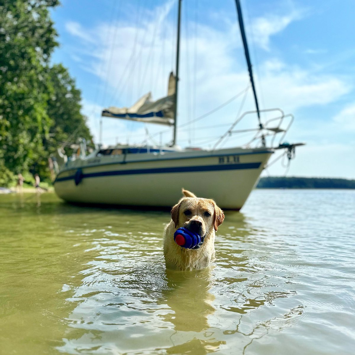 k_kosiorowski's tweet photo. #Rio #lato #Mazury ♥️ https://t.co/0iudqfGCCI