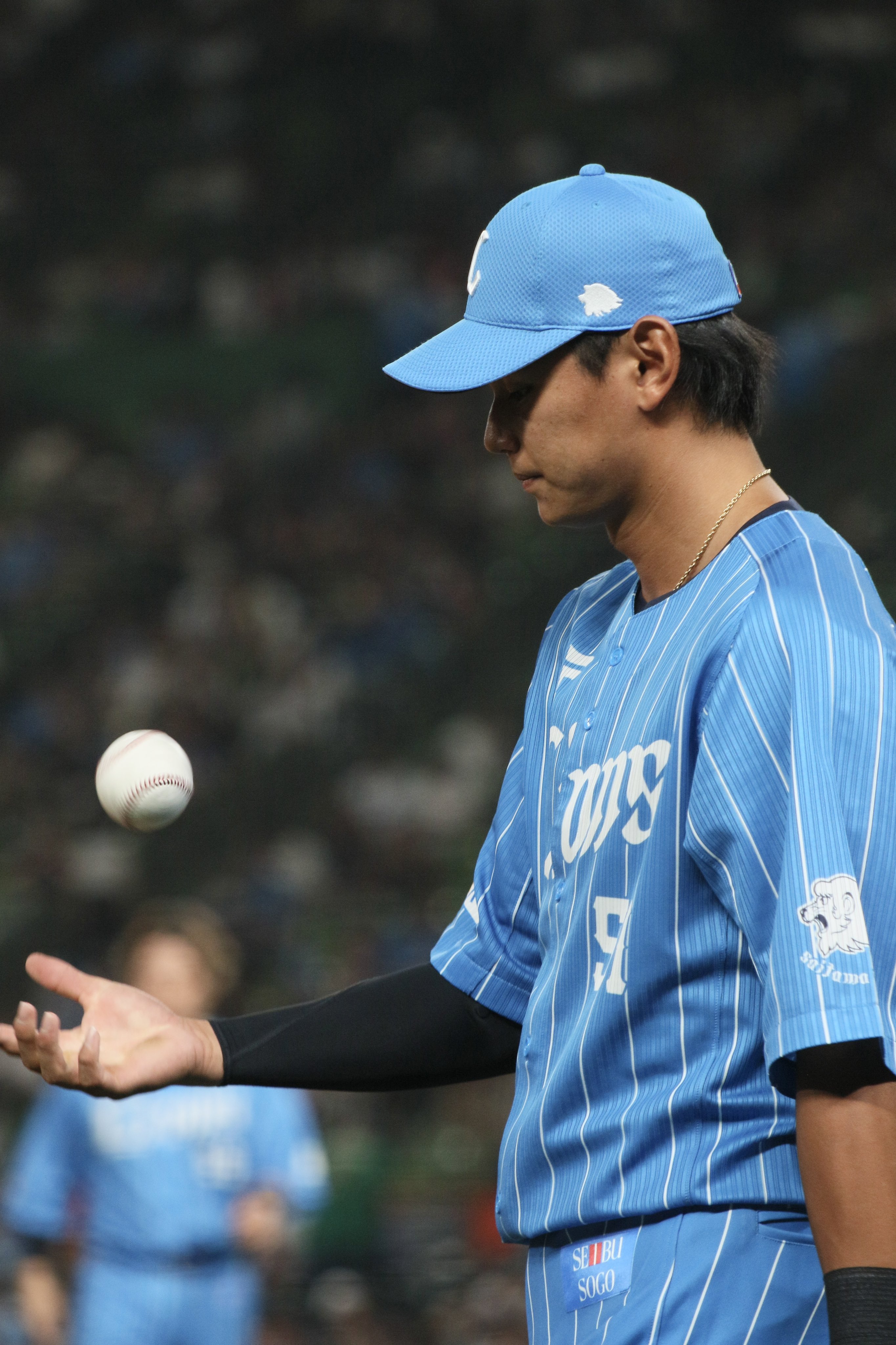 𝐏𝐨𝐦- ̗̀🦋 ̖́- (@pm_pom_poom) / X