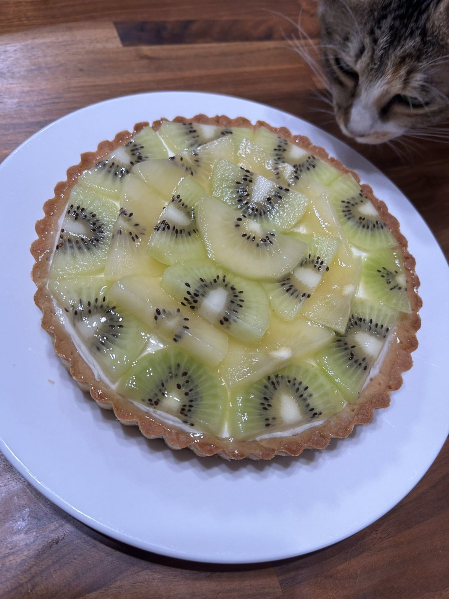 na_gi_co's tweet photo. 恒例の旦那の誕生日チーズケーキ
今年はキウイで飾ったレアチーズケーキタルトです(好き全部乗せ
そしてふんふんするこしょう https://t.co/moWZ848Q8h
