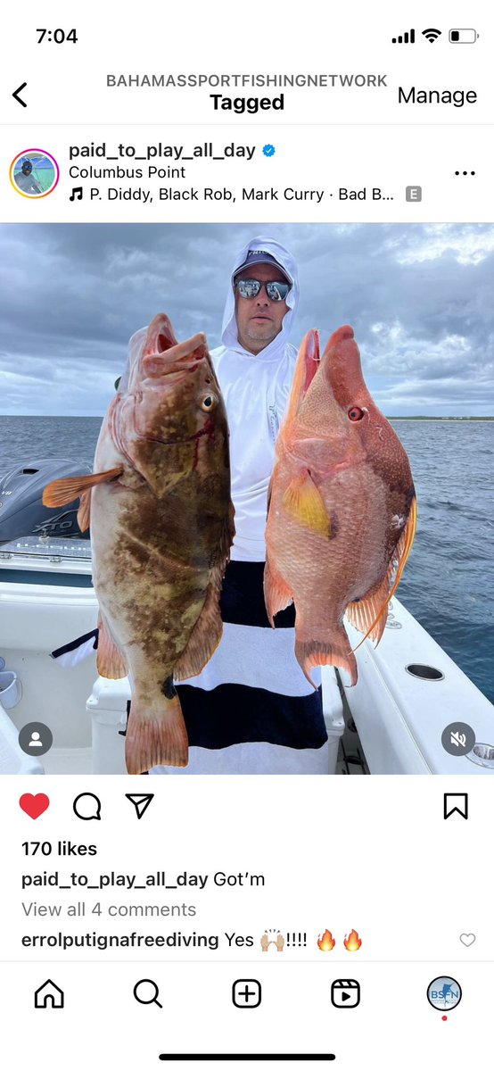 BahamasSportFishing tweet media