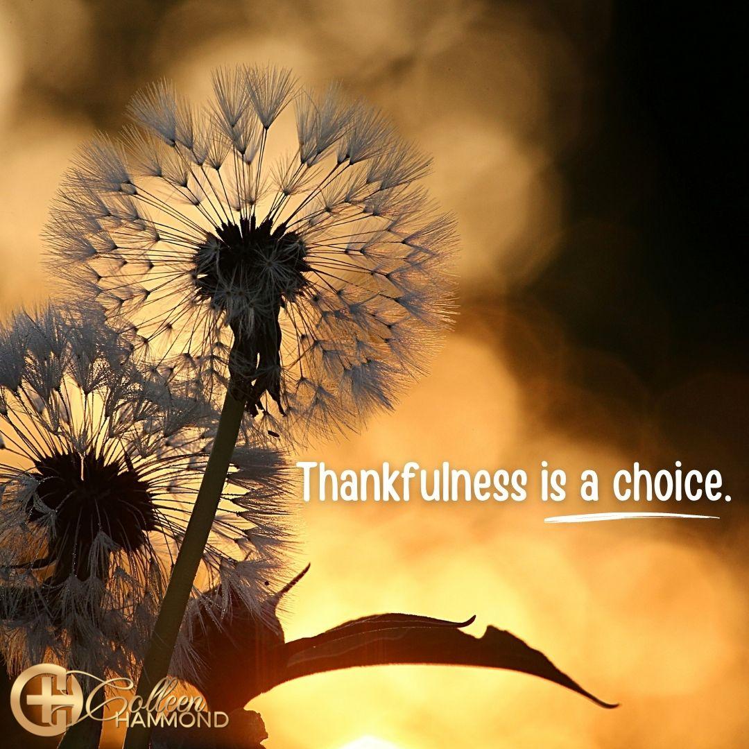Thankfulness is a choice.

#thankfulness #choice #BusinessCoach #MillionaireMentor #CoffeeWithColleen