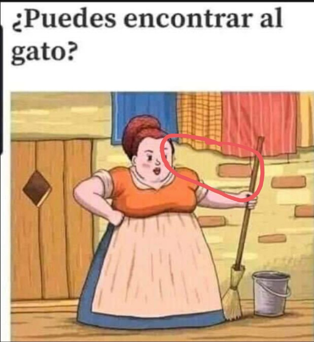 Dany Data tweet media