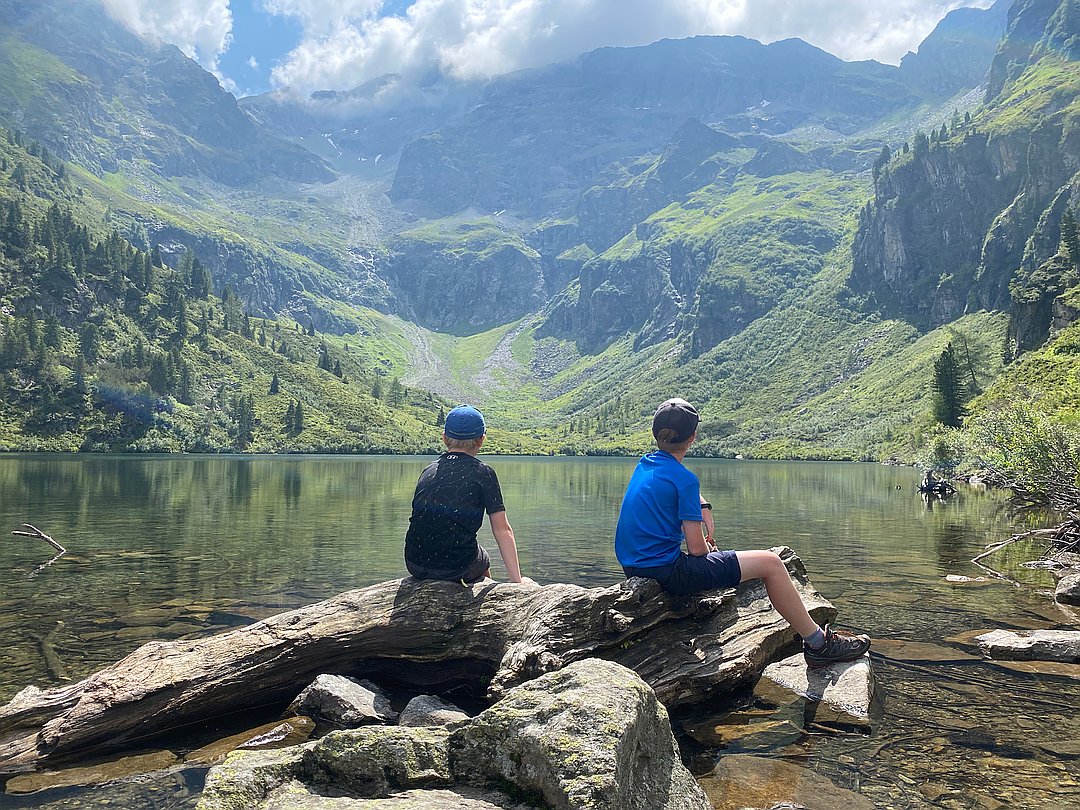 Peter Höflehner tweet media