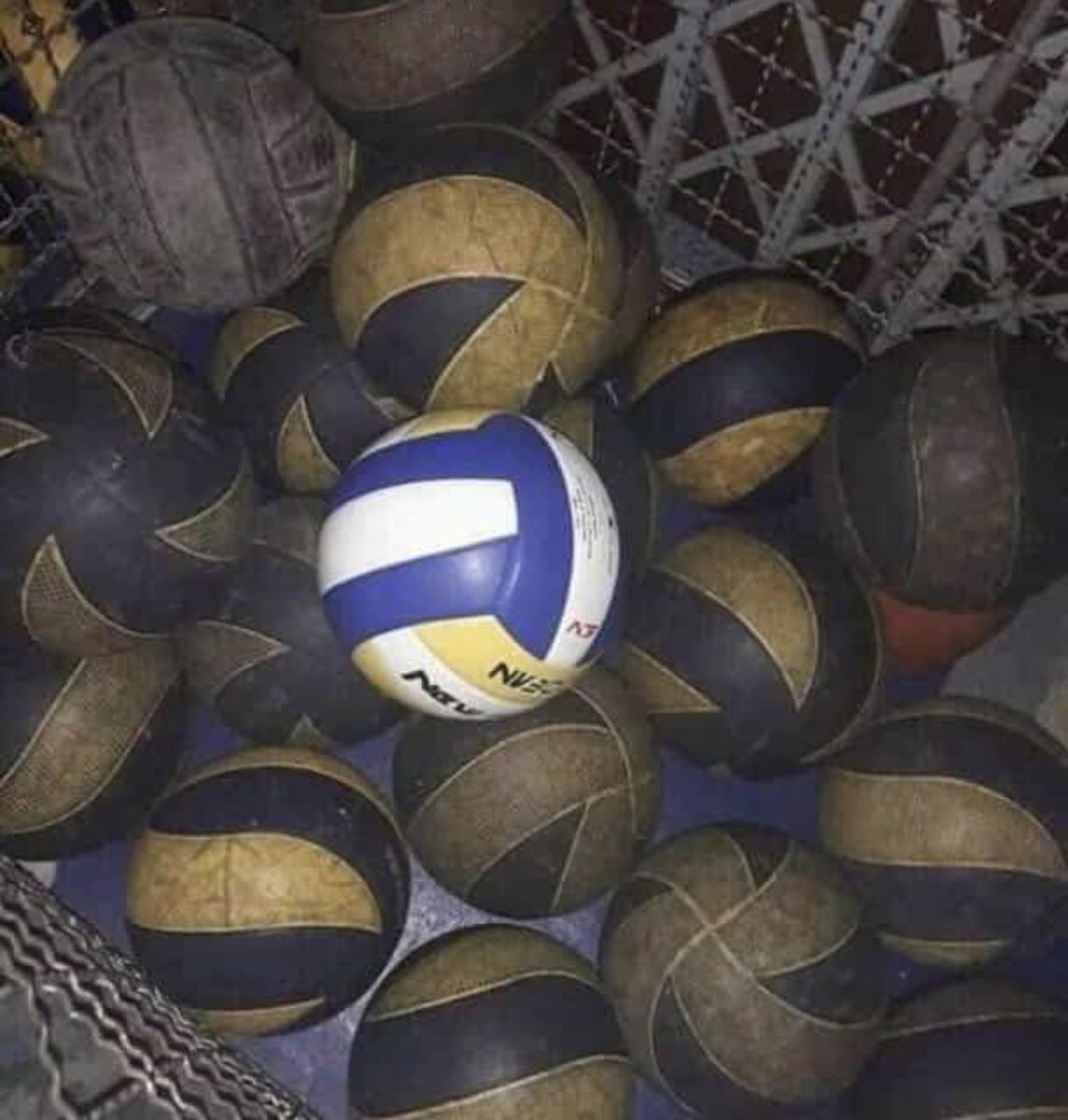 meu pulmão no meio dos meus amigos