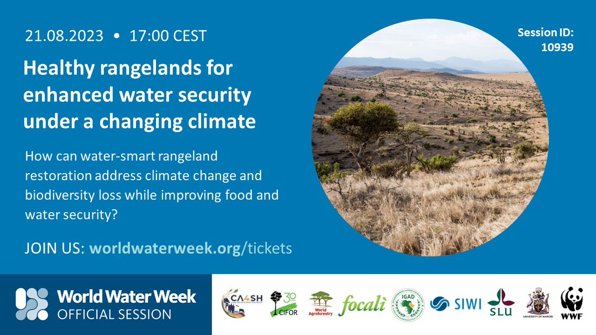 How can challenges of water & food insecurity, biodiversity loss & climate change in rangelands be tackled?🌳💦 Join #WWWeek Webinar: Healthy rangelands for enhanced #water security under a changing #climate 📆 21 August, 17-18 👉siwi.org/event/join-us-…