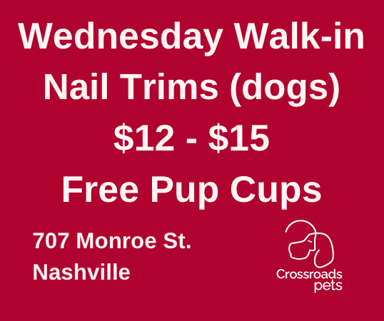 CrossRdsCampus's tweet photo. Bring your dog to Crossroads Pets today for a nail trim and a pup cup. You'll both be happy.
#happypet #dogsofnashville #nailtrim #today #free #nashville #dog #pets #happy https://t.co/ovqhjTXgM9