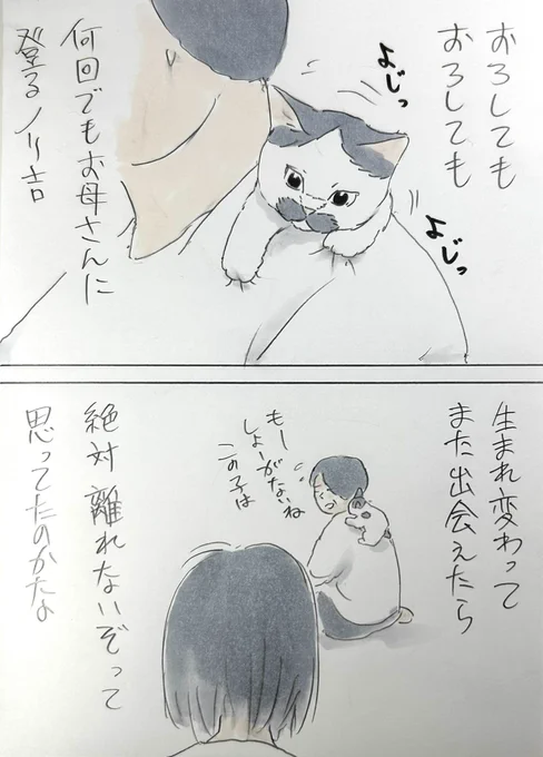まいにちノリ吉 