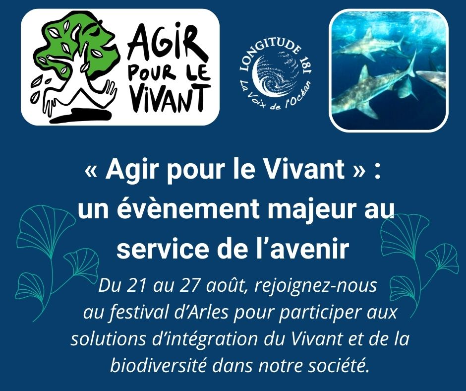 Longitude181 tweet media