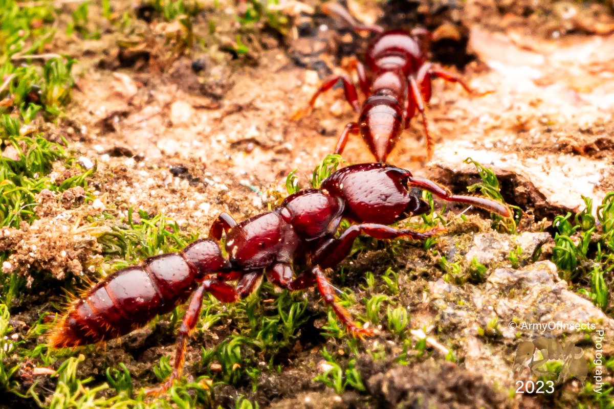 Josiah Kilburn tweet media