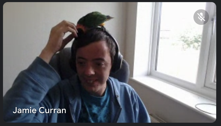 Studio 24 tweet media