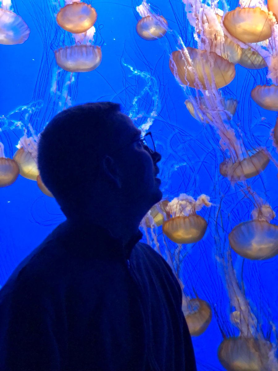 Xross Connect tweet media