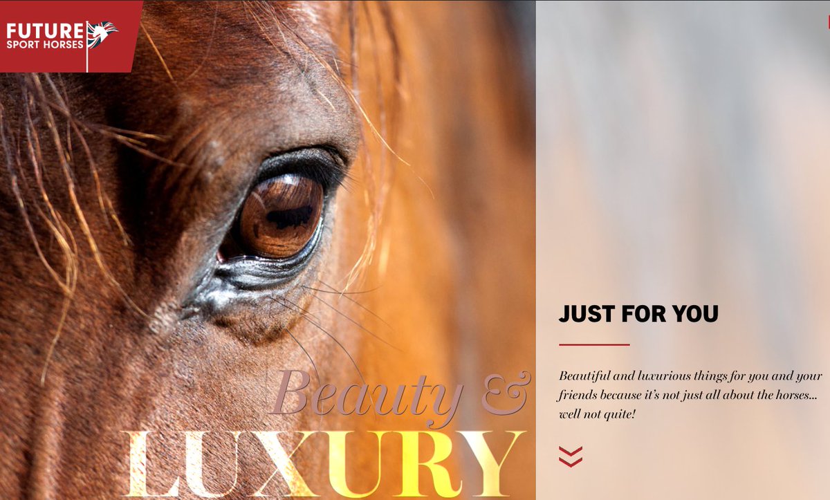 🎉 Here's our BIG announcement!
Future Sport Horses is delighted to be collaborating with a number of talented designers to offer a special selection of equestrian-related Beauty &amp; Luxury items!  Click to read all about the first range to launch with us 
mailchi.mp/22b234b6310c/b…