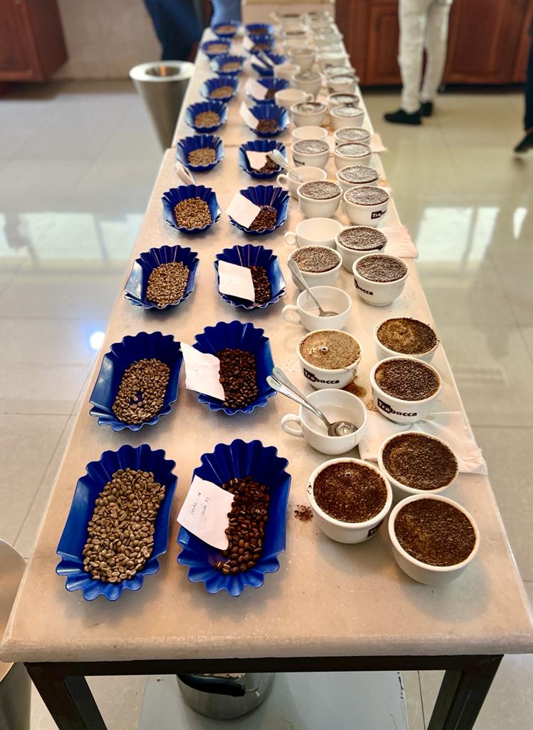 Trabocca tweet media