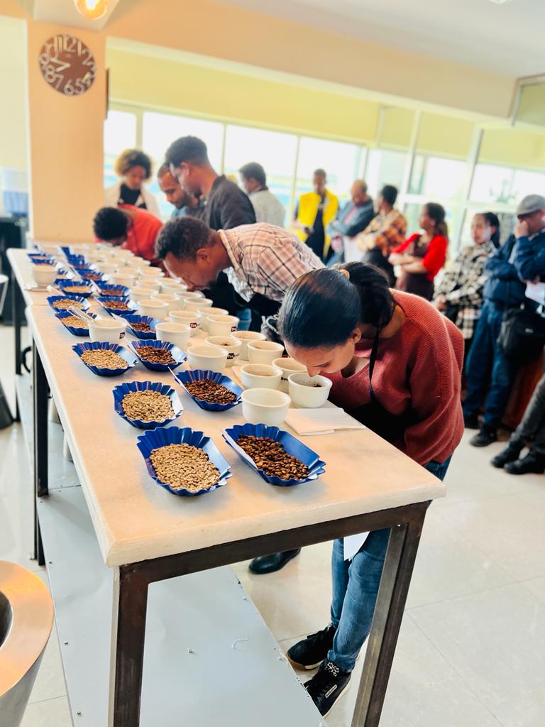 Trabocca tweet media