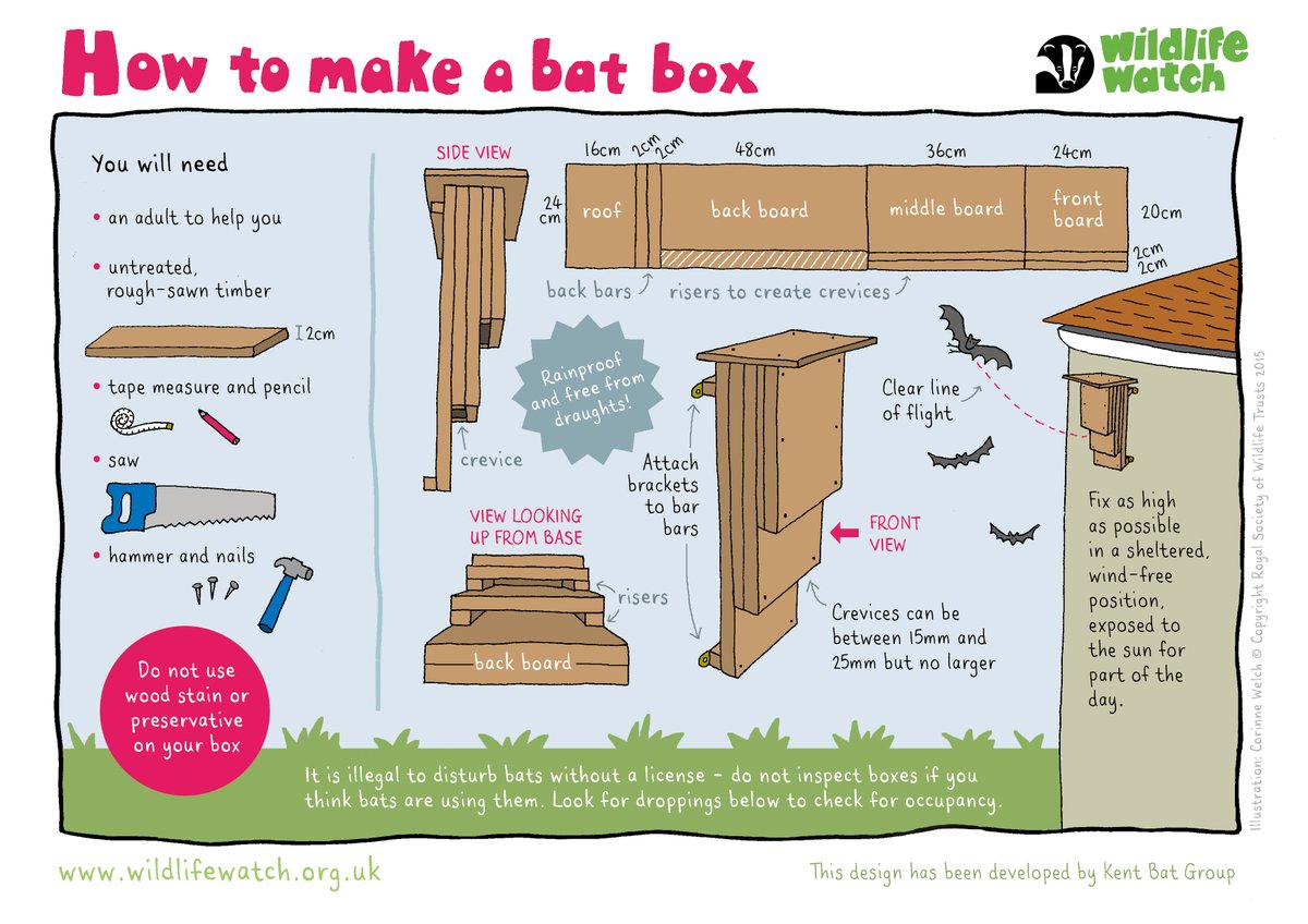 Get more winged visitors to your garden by building a bat box! 🦇 wildlifewatch.org.uk/sites/default/…