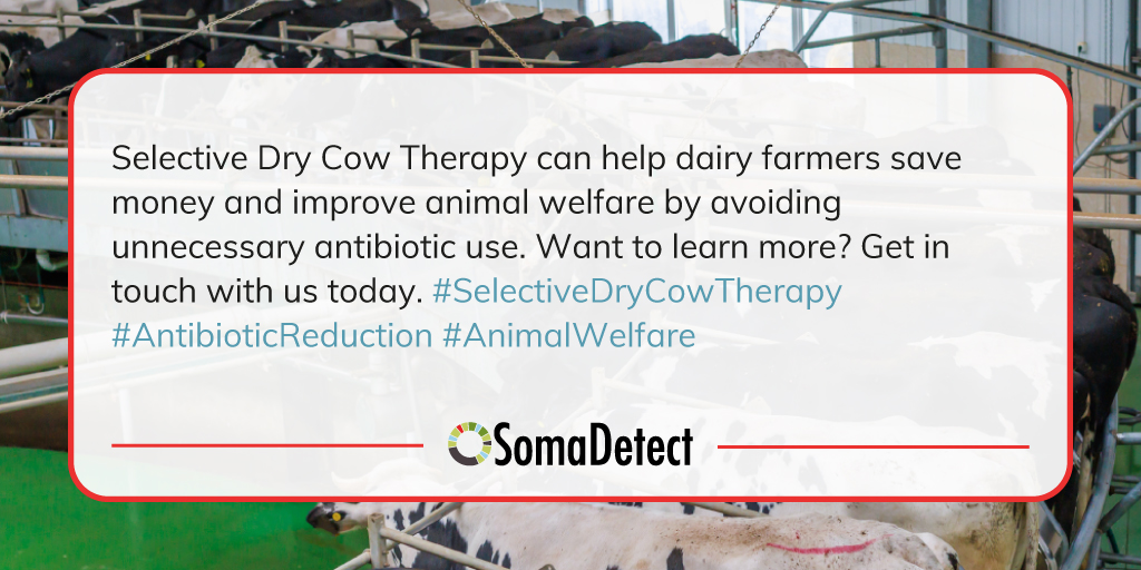 🐄💲 Save Money, Improve Animal Welfare with Selective Dry Cow Therapy! Explore the Benefits Today. 🌟💊

Calling all dairy farmers! 

Invest in the well-being of your cows! 🌾✨

Contact us now to learn more: mtr.cool/phypvaxpjc

#SelectiveDryCowTherapy #AntibioticReduction