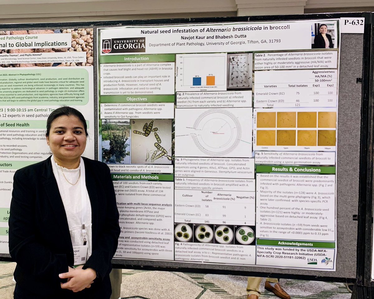 Navjot_Kaur (@navjot_91) on Twitter photo #APS #Planthealth2023 <a href="/plantdisease/">The American Phytopathological Society</a> #Natural seed infestation of Alternaria brassicicola in broccoli. Had fun presenting at APS. Dutta’s Lab <a href="/BhabeshDutta5/">Bhabesh Dutta</a> #APS #Planthealth2023 <a href="/plantdisease/">The American Phytopathological Society</a> #Natural seed infestation of Alternaria brassicicola in broccoli. Had fun presenting at APS. Dutta’s Lab <a href="/BhabeshDutta5/">Bhabesh Dutta</a>