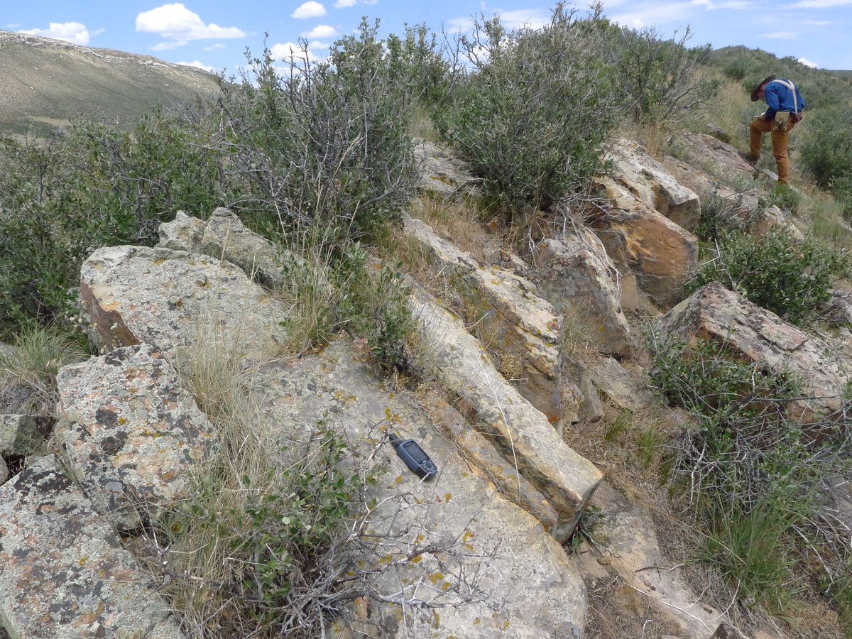 WyGeoSurvey's tweet image. Geo-Note! The Cloverly Formation on the Goat Mountain quadrangle in southeast #Wyoming forms prominent ridges like this sandstone ridge in the northwestern Iron Mountain syncline area of the quadrangle. 
Goat Mountain #geologicmap: sales.wsgs.wyo.gov/preliminary-ge… 
#geology #geologic #map