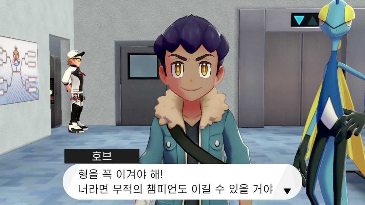 #포켓몬스터실드　#포켓몬 #NintendoSwitch