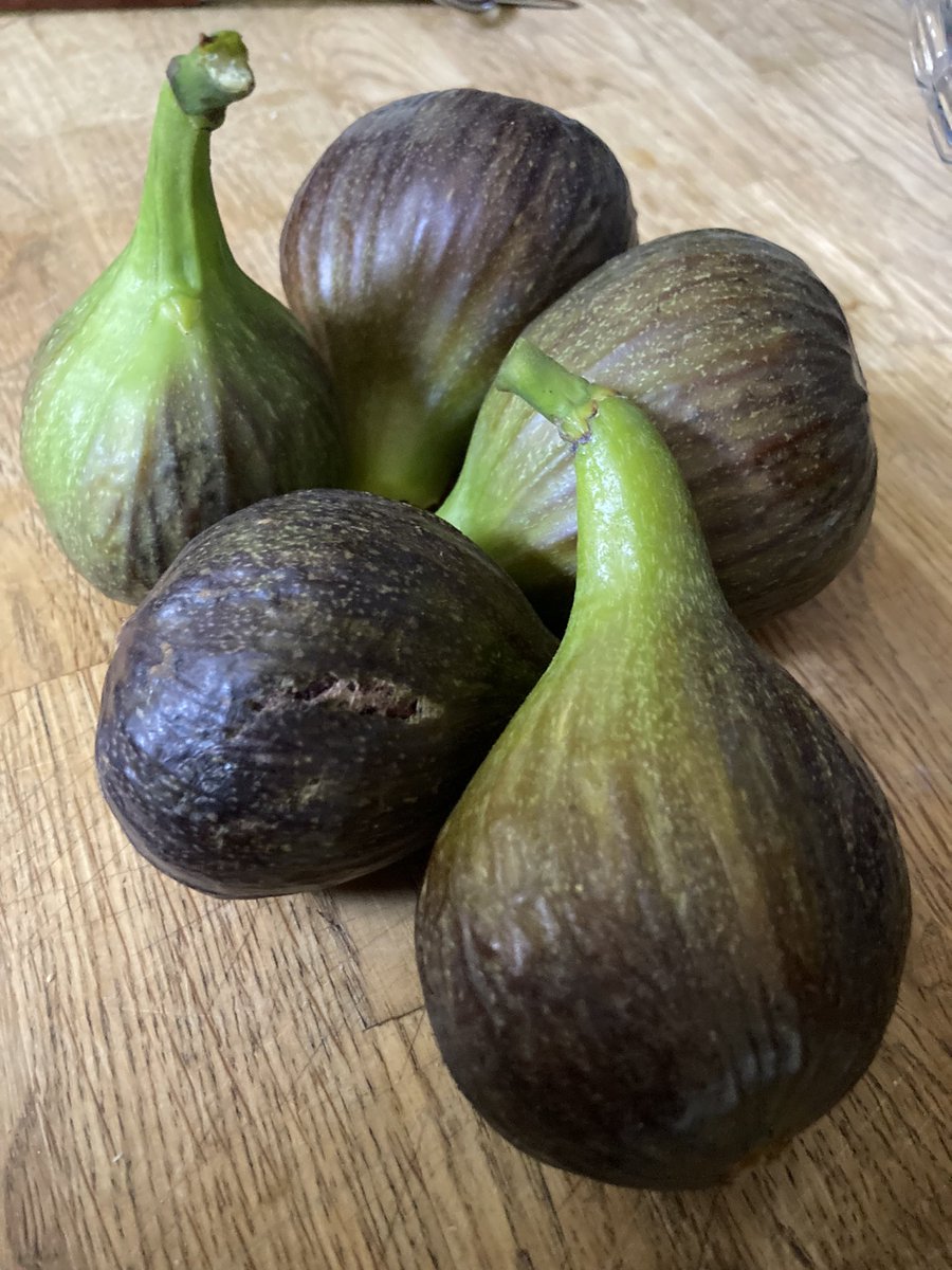 #Croydon figs sweet and delicious, kissed by the sun.