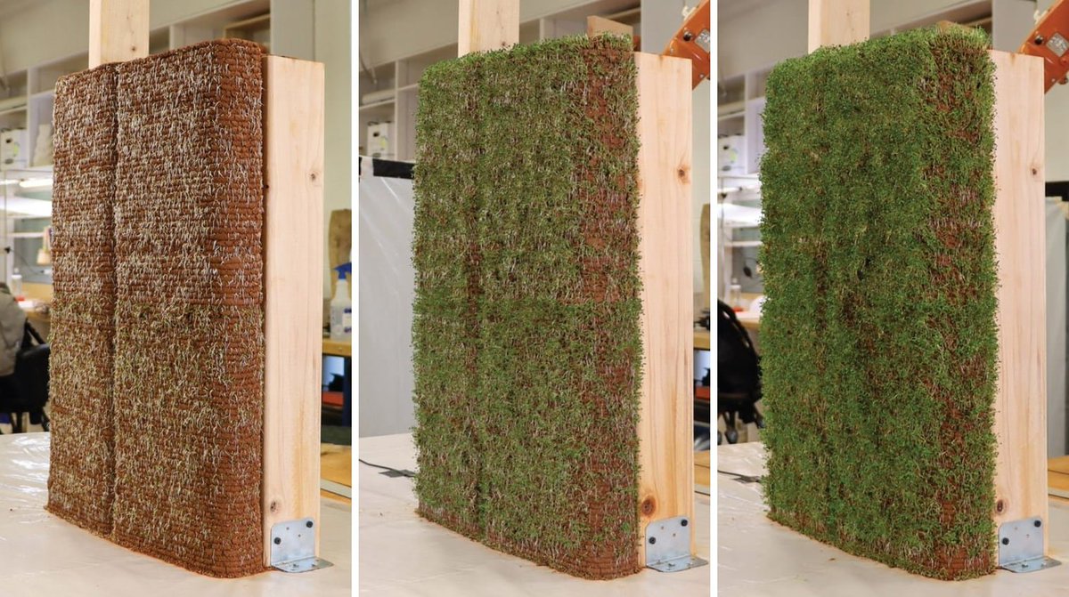 A estos genios se les ocurrió incluir semillas en su impresora 3d de tierra y ahora imprimen directamente muros verdes