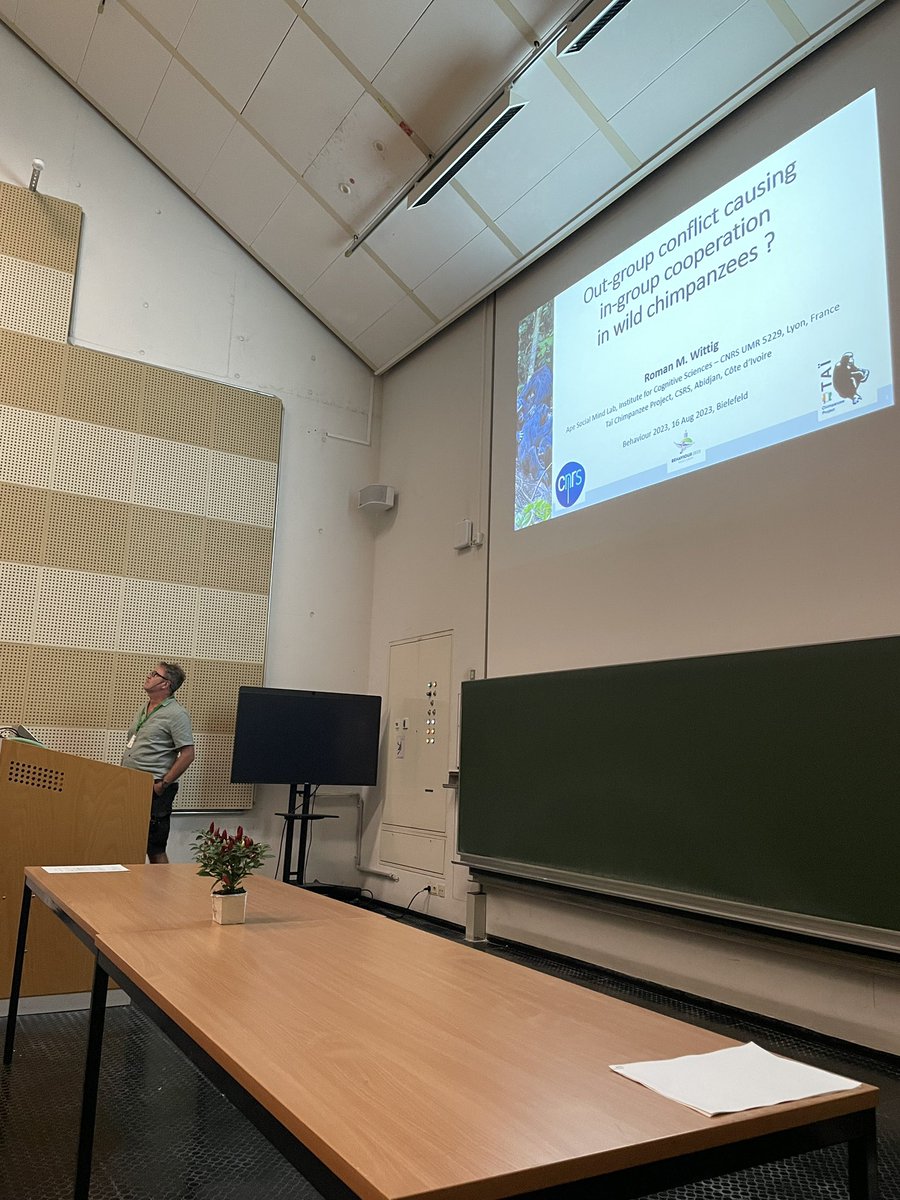 Viviana Di Pietro (@dipietroviviana) on Twitter photo Last talk on primates! Roman Wittig will talk about outgroup conflict causing in-group cooperation in chimpanzees 🐒#Behaviour2023 <a href="/HelenaMFerreir2/">Helena M. Ferreira</a> <a href="/ri_caliari/">Ricardo Caliari Oliveira</a> Last talk on primates! Roman Wittig will talk about outgroup conflict causing in-group cooperation in chimpanzees 🐒#Behaviour2023 <a href="/HelenaMFerreir2/">Helena M. Ferreira</a> <a href="/ri_caliari/">Ricardo Caliari Oliveira</a>