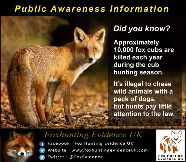 FoxEvidence's tweet image. Public Awareness information