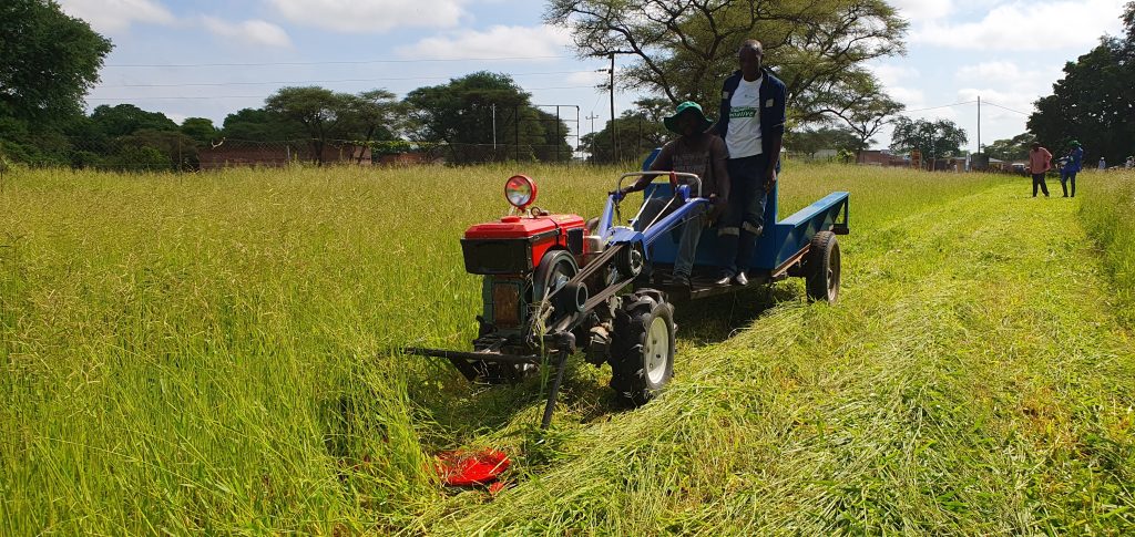 bramaccimmyt's tweet photo. Building up on the #FACASI &amp; #HAFIZ projects, @CIMMYT through the #AgroecologyInitiative is working in #Zimbabwe🇿🇼 with 200+ farmers &amp; four machinery service providers in two districts to pave the way for a more resilient &amp; sustainable food system. https://t.co/AkYpzATDIi https://t.co/hV91BfTO0T