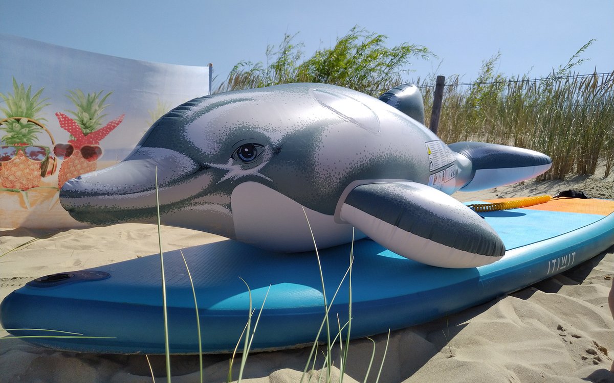 InflatableDolph's tweet photo. That was a good day with dolphin on the beach ;)

#beach #inflatable #dolphin #inflatabledolphin #SPH #pooltoyfetish #pooltoy #sex #sexonthebeach #cum https://t.co/SwTS3GCcn2