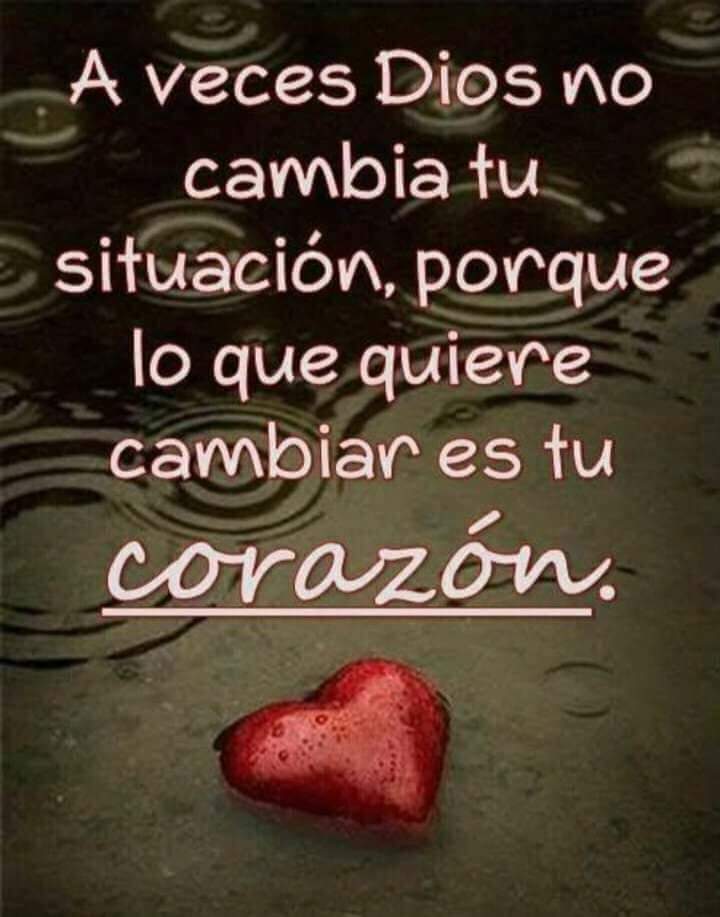 CartinPastor's tweet image. 16/08/2023
BUENOS DÍAS 
"Cuando Jesús nos  enseñó a amar NO sólo a nuestros amigos y familiares, sino también a nuestros enemigos, nos demostró que el amor NO es sólo una cuestión revelaciones en el corazón, sino también de voluntad." 
👣
#ElPastor #MinisterioCristianoElPastor