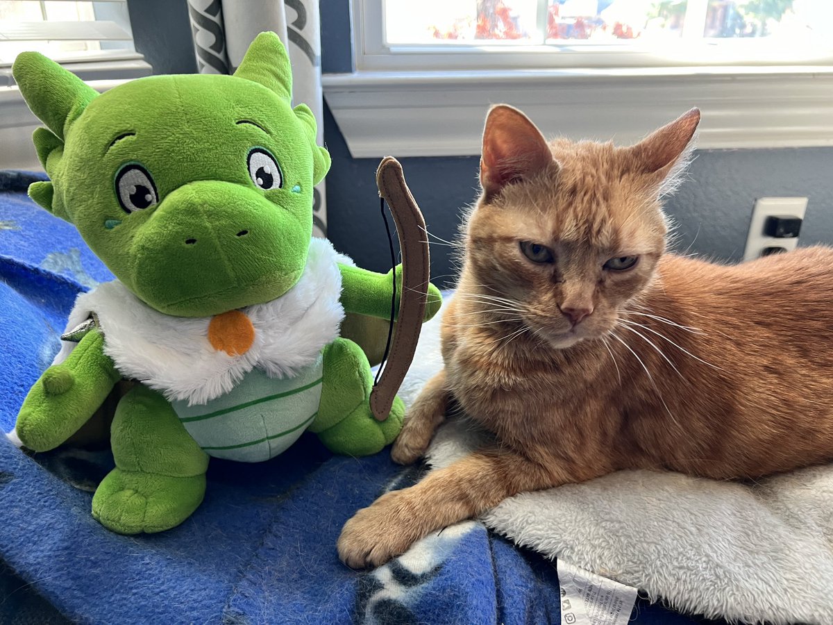 heroplush's tweet image. With bow in hand and cloak billowing, Shep&apos;s brave steps lead him towards the enigmatic feline sphinx, seeking the wisdom that awaits. 🏹🔮 #KoboldPlush #HeroPlush #ConfusedSphinxCat