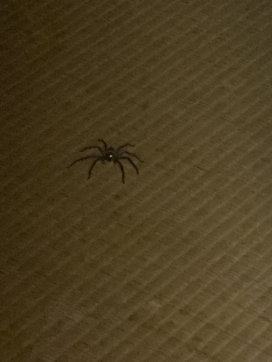 これ、どうしよう、、、