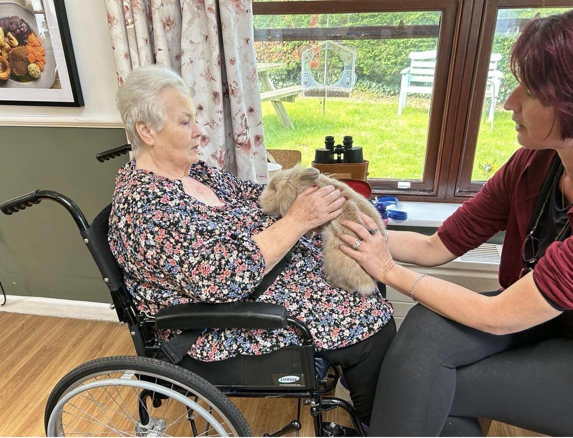 Say hello to Philbert Forest the latest addition to our lovely team 🐰🐇 #Rabbit #Carehomesuk #oxfordshire ⁦@ForestHealthLtd⁩