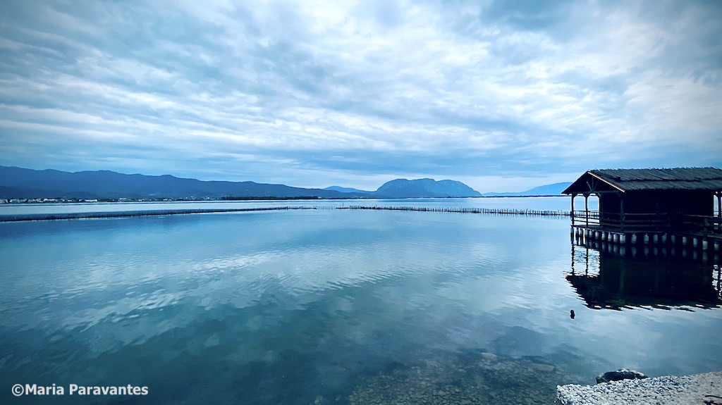 TheGreekVibe's tweet photo. Did you know that this region in Greece produces some of the finest bottarga in the world? #gastronomy #botargo https://t.co/XRA91uLoUb https://t.co/t2thEuSQSj