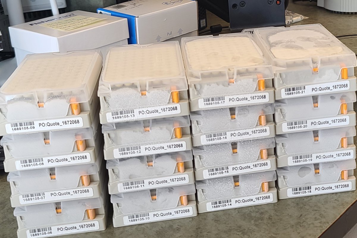 Matthieu Schapira (@mattschap) on Twitter photo All 1739 compounds shipped by Enamine in Kyiv and predicted by 25 CACHE#3 participants to bind SARS-CoV-2 NSP3 Mac1 are now received in Toronto. Screening by HTRF and DSF <a href="/thesgconline/">Structural Genomics Consortium (SGC)</a> and by crystallography at UCSF's <a href="/fraser_lab/">James Fraser (A$AP J)</a> about to begin! bit.ly/41HIW4X All 1739 compounds shipped by Enamine in Kyiv and predicted by 25 CACHE#3 participants to bind SARS-CoV-2 NSP3 Mac1 are now received in Toronto. Screening by HTRF and DSF <a href="/thesgconline/">Structural Genomics Consortium (SGC)</a> and by crystallography at UCSF's <a href="/fraser_lab/">James Fraser (A$AP J)</a> about to begin! bit.ly/41HIW4X
