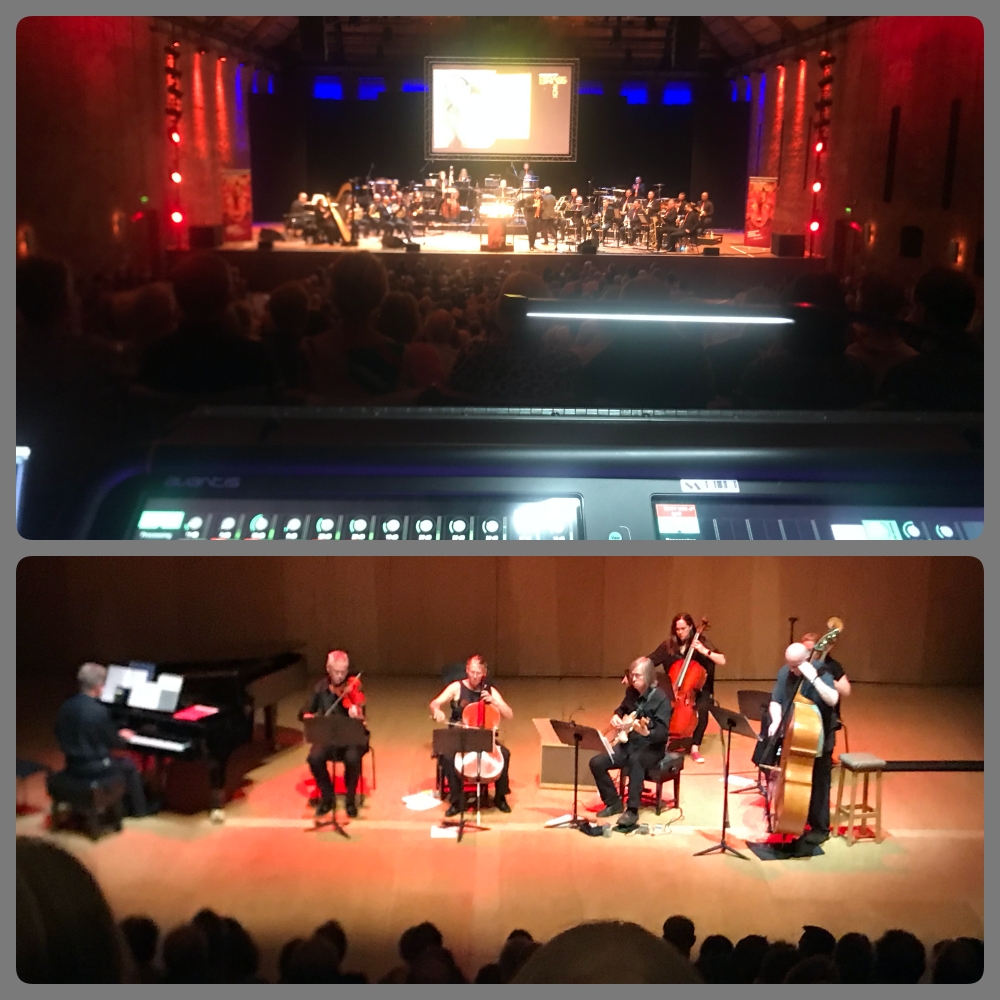 semi-echo tweet media