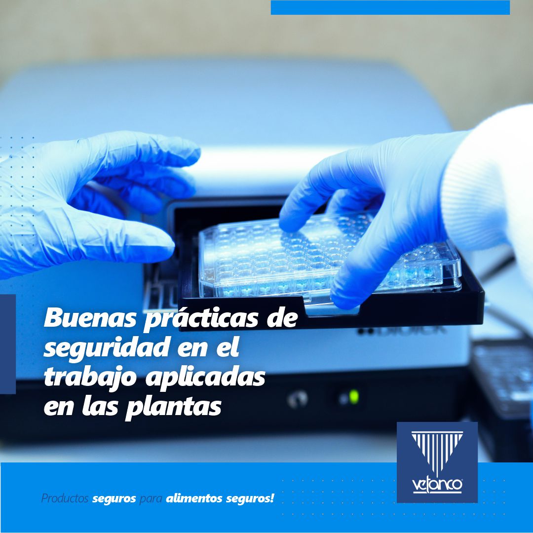 VetancoMexico's tweet photo. 📷 En nuestras plantas, los colaboradores hacen uso apropiado de todos los elementos de protección personal que se les entrega para su protección y se llevan a cabo las instrucciones de seguridad indicadas por sus superiores, por medio de indicaciones gráficas y capacitaciones 📷 https://t.co/jGxmZka7rQ