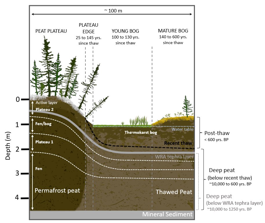 Dr Lorna Harris 💚 tweet media