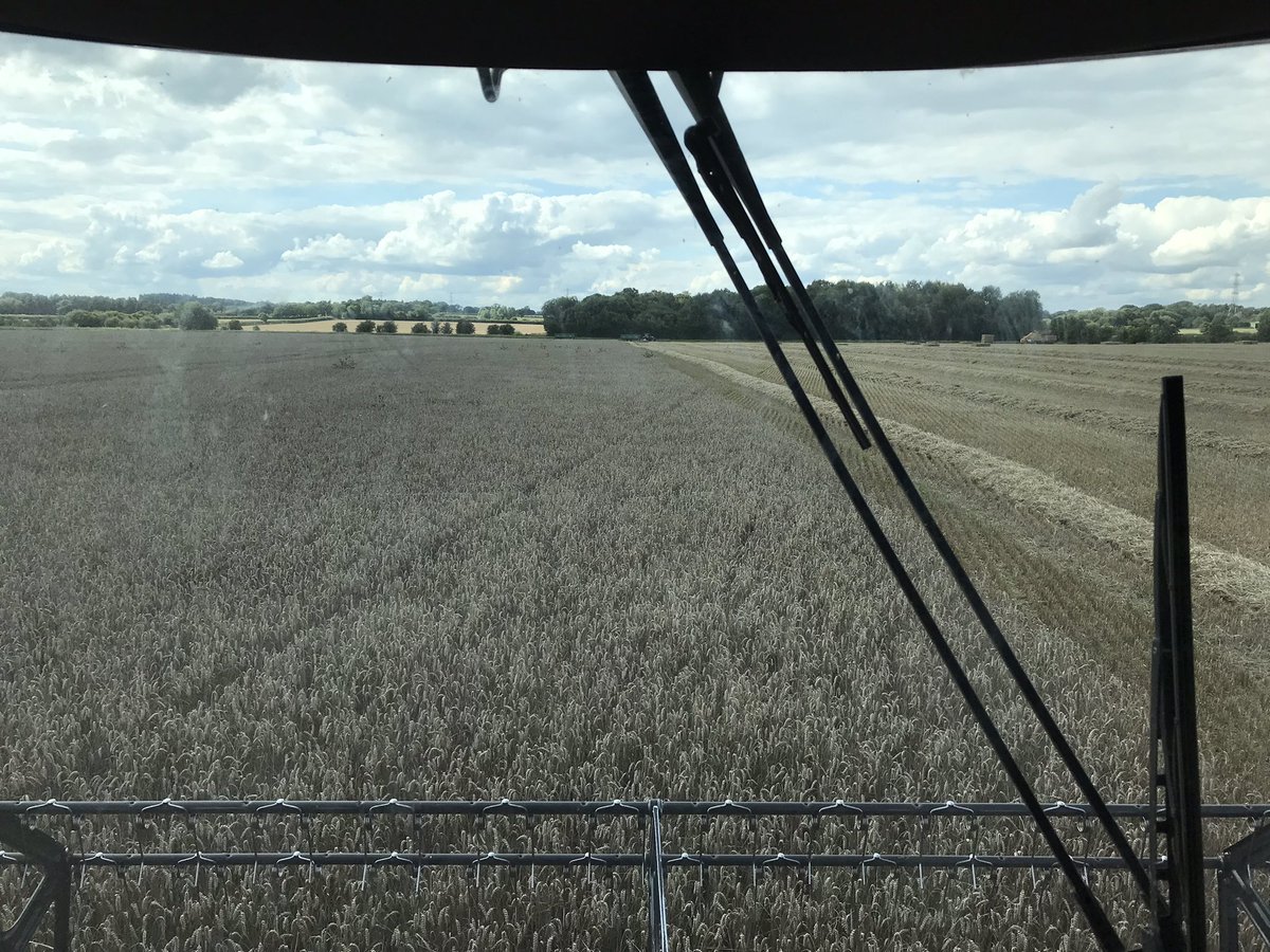 Last 55 acre of conventional wheat (group1 blend)today coming in at 9.2t/ha from 72kg/ha of N (50kg soil applied)plus amino acids no fungicides/insecticides or growth regulators, just nutrition and biology in what was a high septoria year makes for a content happy farmer😁